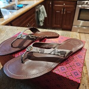 Brown and Snake Print Women's Sandals